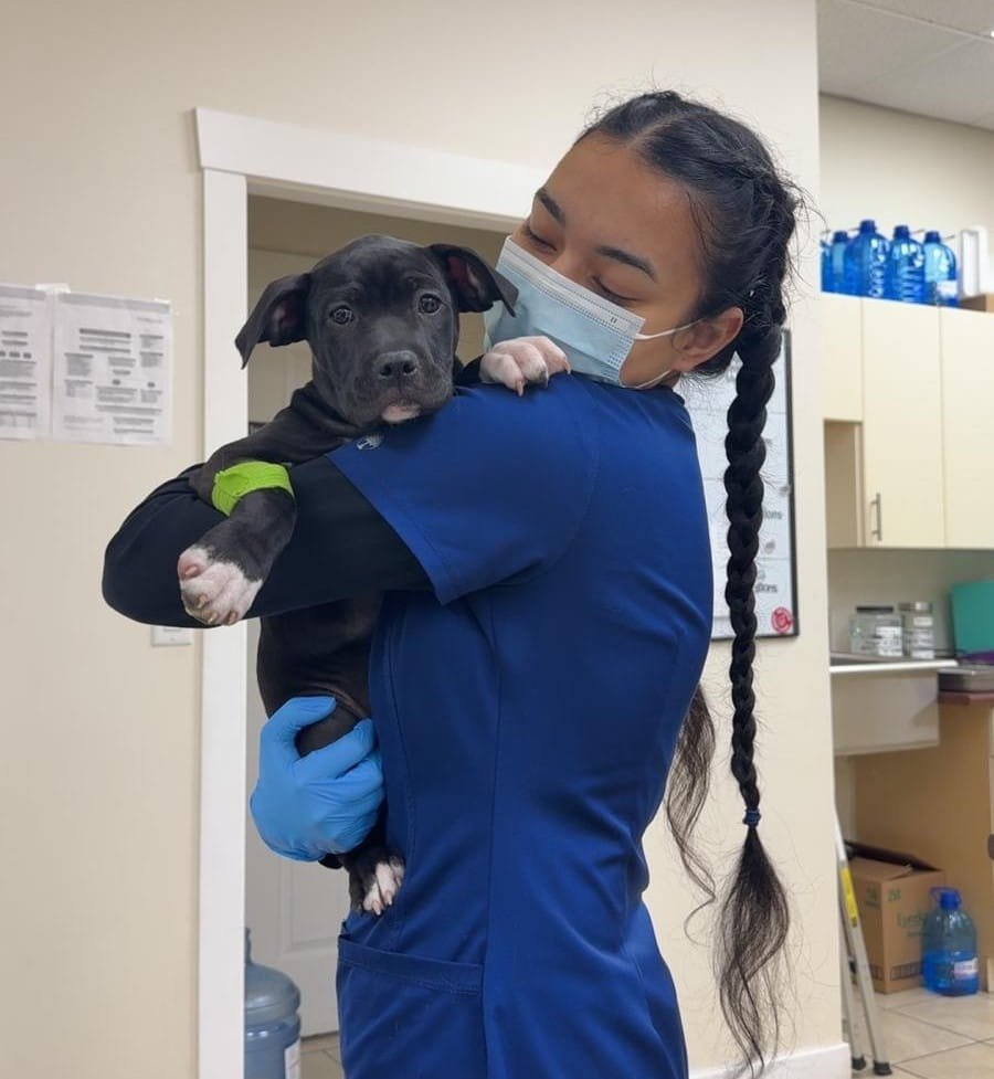 Gagandeep, Veterinary Assistant at Abby Veterinary Hospital and Emergency