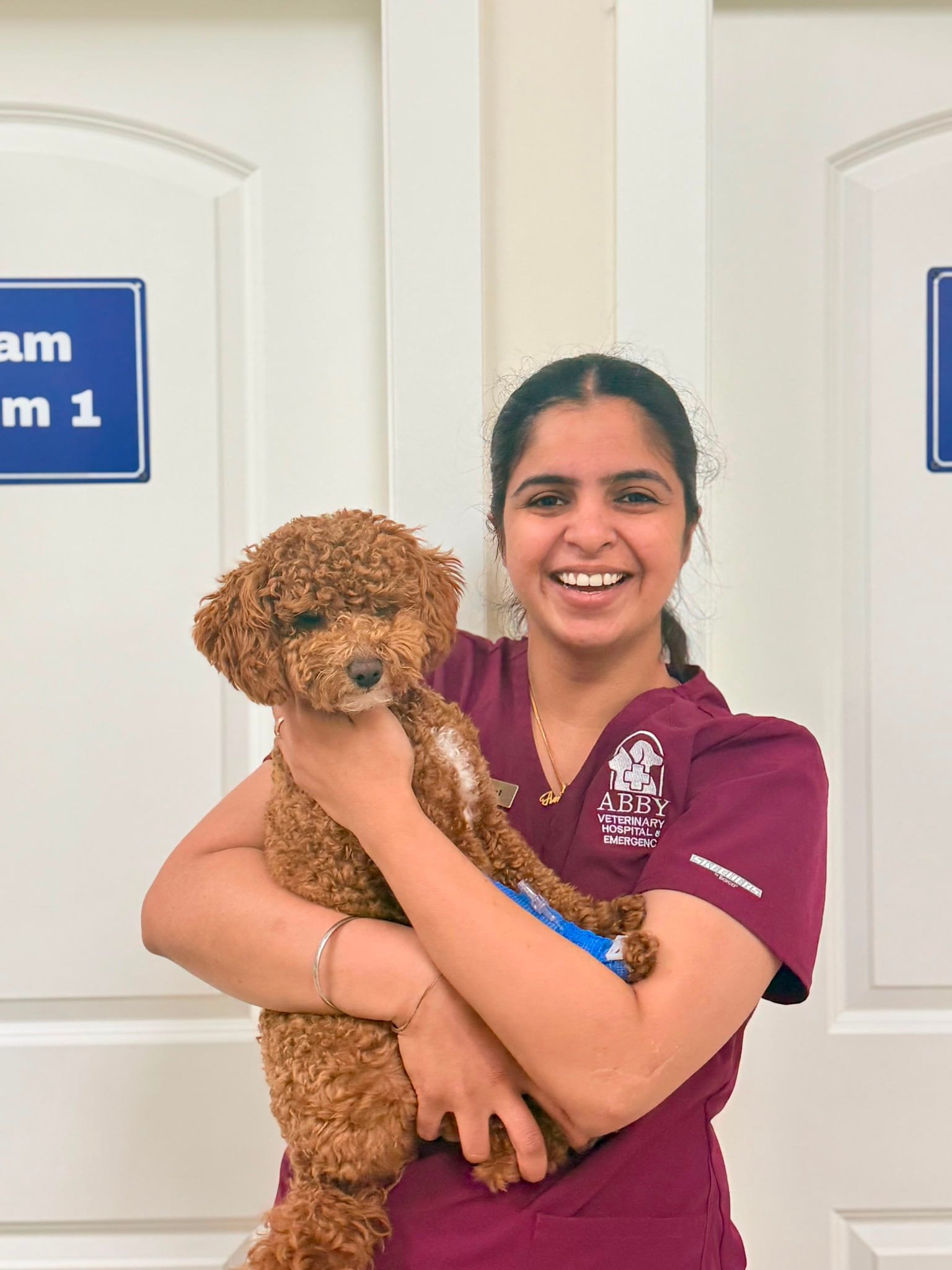 Jasmeet Kaur Sidhu, Veterinary Assistant at Abby Veterinary Hospital and Emergency